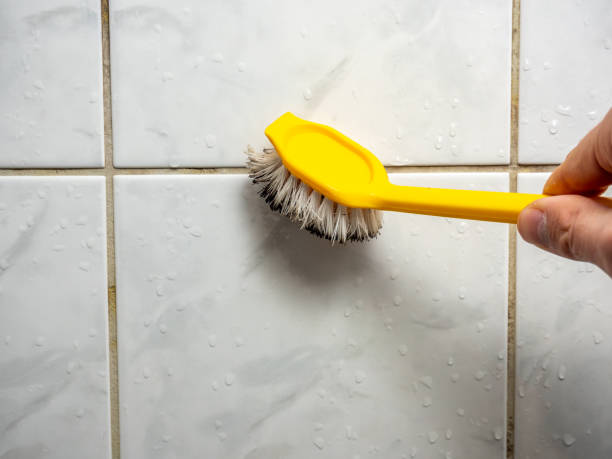 Best Mold Testing and Inspection Services in Ocean Springs, MS